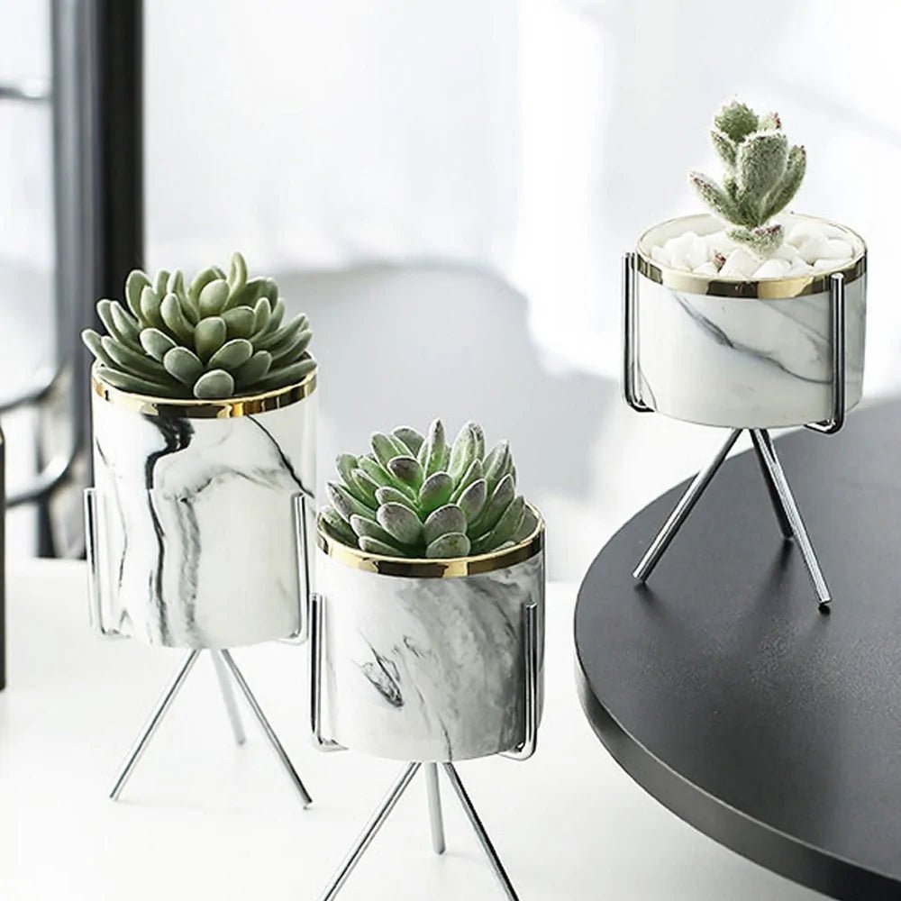 Ceramic Vase - Lirana Decor