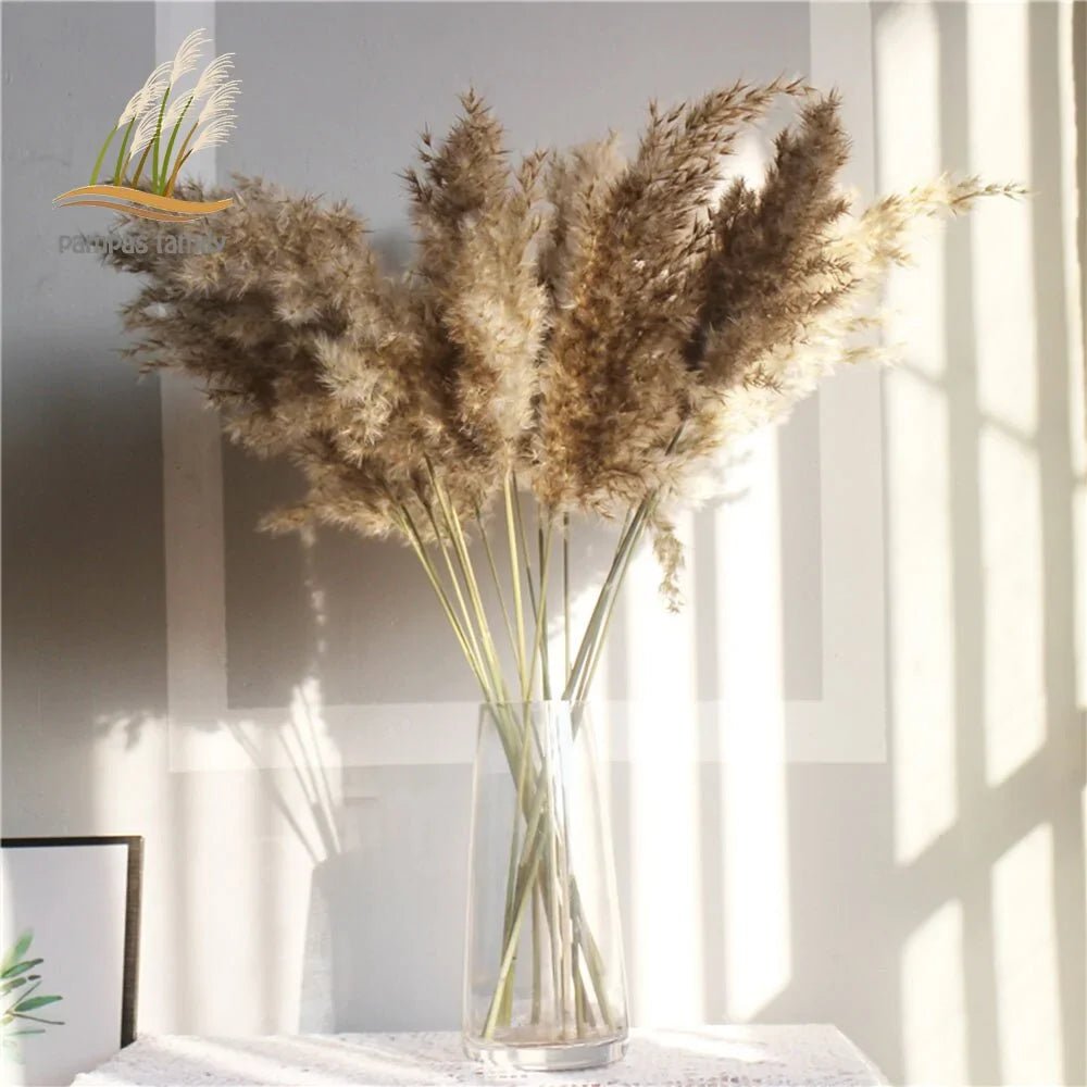 Dried Pampas Grass Home Decor Plant - Lirana Decor