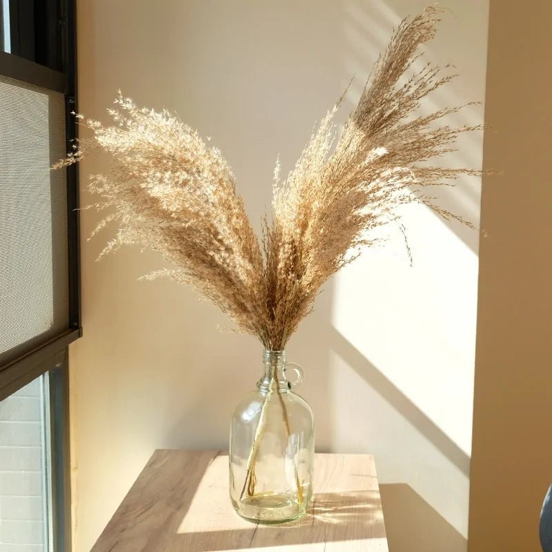 Dried Pampas Grass Home Decor Plant - Lirana Decor