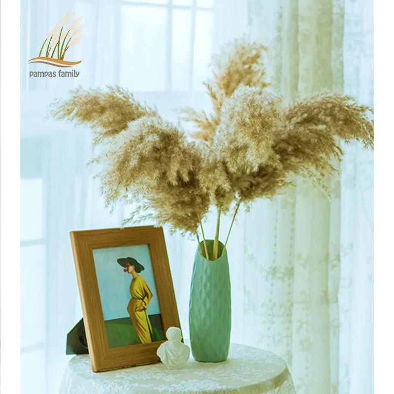 Dried Pampas Grass Home Decor Plant - Lirana Decor