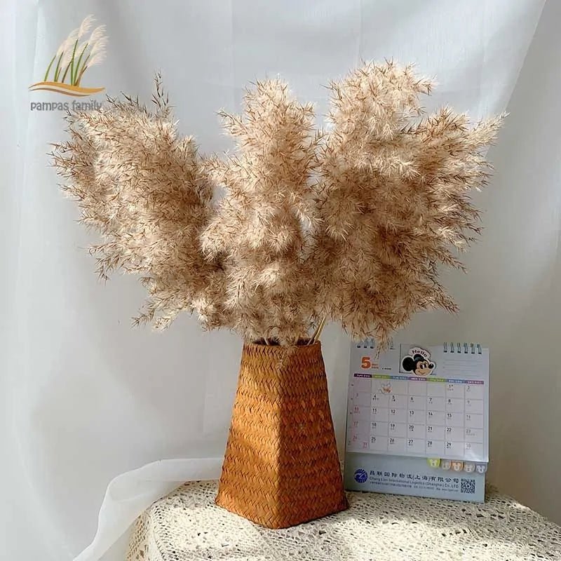 Dried Pampas Grass Home Decor Plant - Lirana Decor