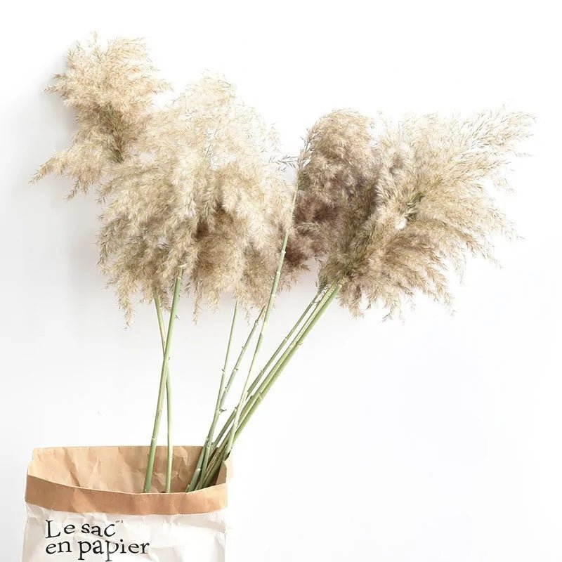 Dried Pampas Grass Home Decor Plant - Lirana Decor