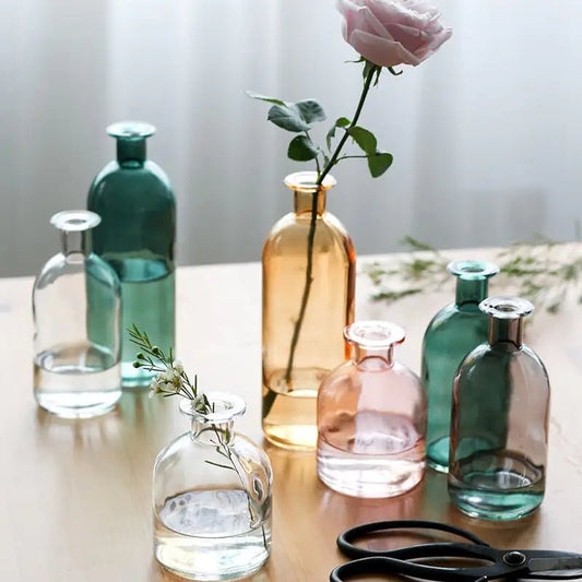Nordic Glass Flower Vase Decor - Lirana Decor